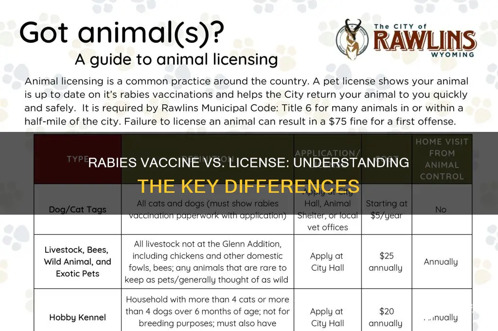 is a rabies vaccine and the license the same thing