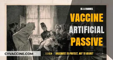 Understanding Rabies Vaccines: The Science Behind Artificial Passive Immunity