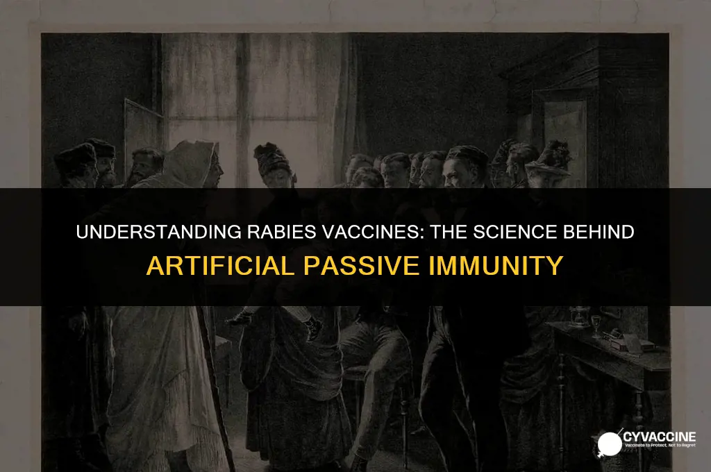 is a rabies vaccine artificial passive