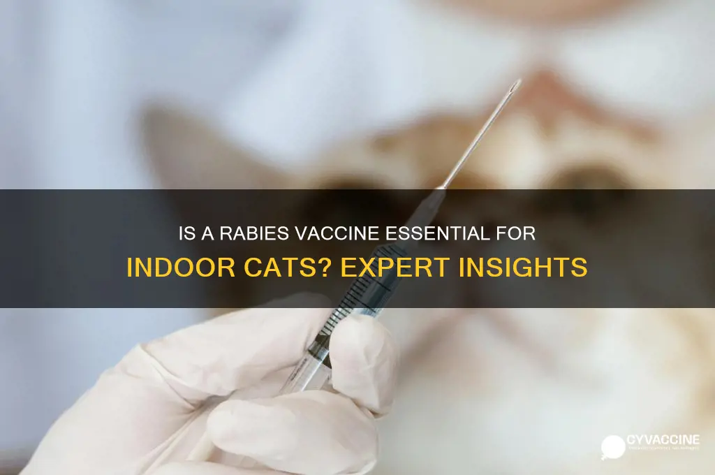 is a rabies vaccine necessary for an indoor cat