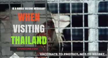 Rabies Vaccine in Thailand: Essential Precaution or Optional Protection?