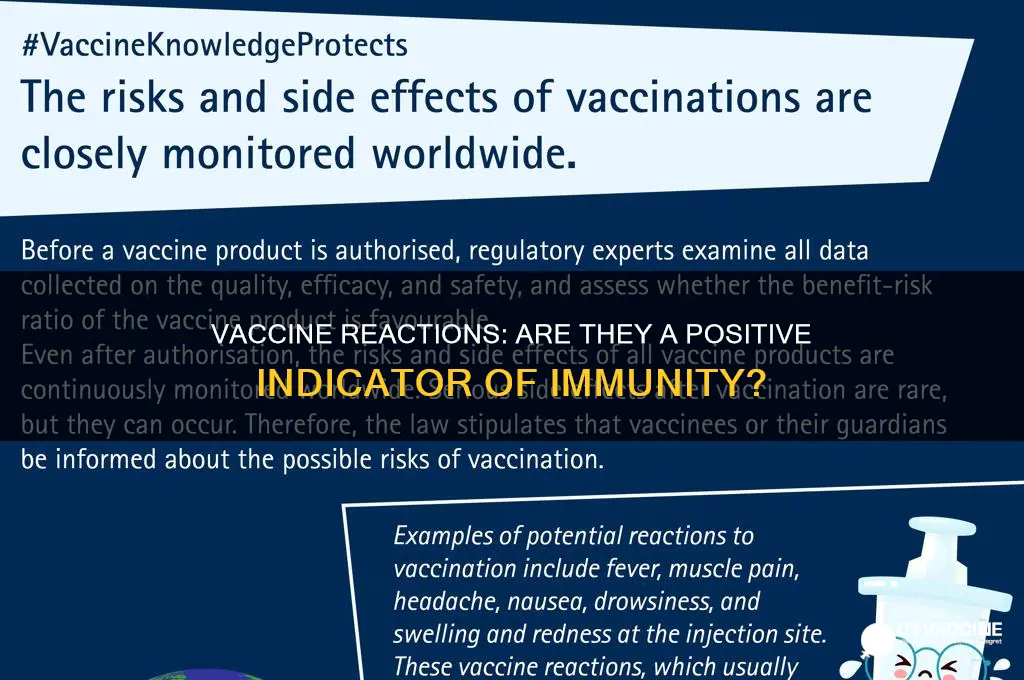 is a reaction to a vaccine a good sign