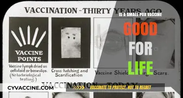 Smallpox Vaccine: Lifelong Immunity or Periodic Booster Needed?