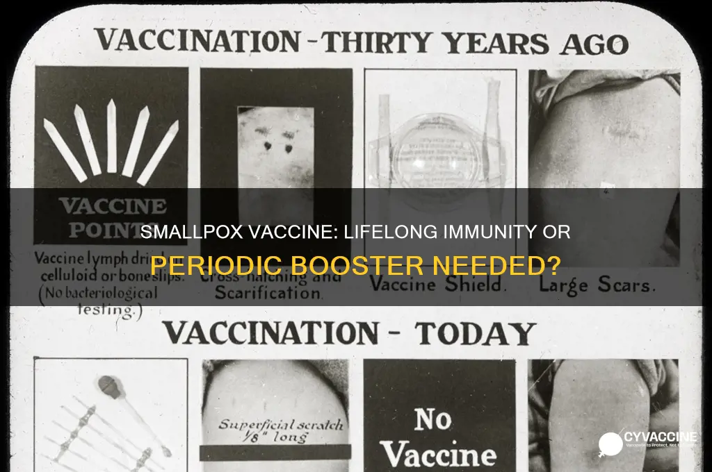 is a small pox vaccine good for life