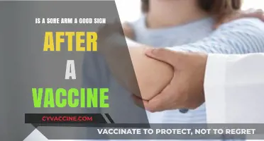 Sore Arm After Vaccine: What It Means for Your Immunity