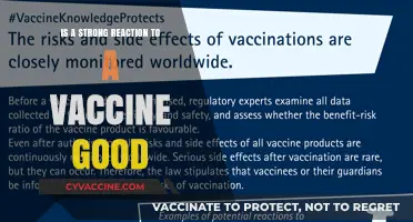 Strong Vaccine Reactions: A Sign of Robust Immunity or Cause for Concern?