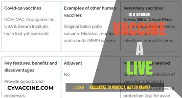 Understanding Subunit Vaccines: Are They Live or Inactivated?