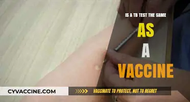 TB Test vs. Vaccine: Understanding the Key Differences and Purposes
