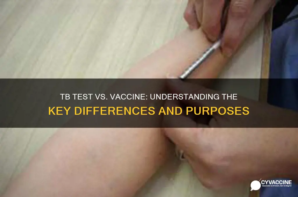 is a tb test the same as a vaccine