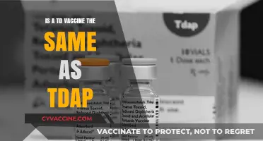 TD vs. Tdap: Understanding the Key Differences in Vaccines