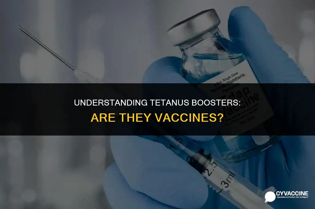 is a tetanus booster a vaccine
