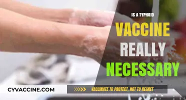 Debunking Myths: The Vital Truth About Typhoid Vaccination
