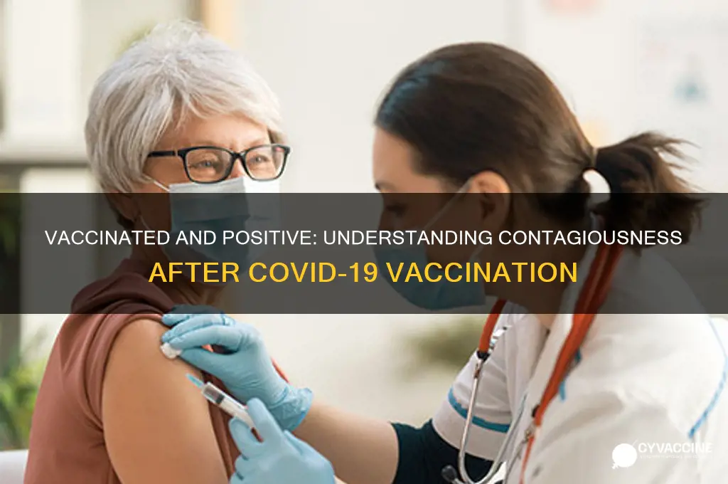 is a vaccinated person who tests positive contagious