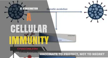 Exploring the Link Between Vaccination and Cellular Immunity
