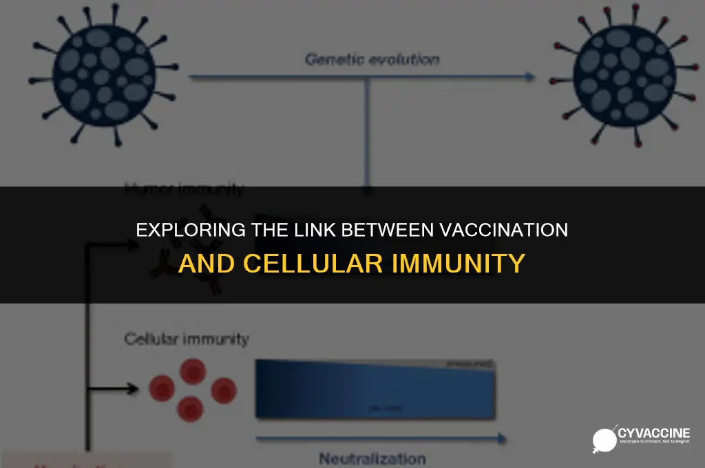 is a vaccination a cellular immunity
