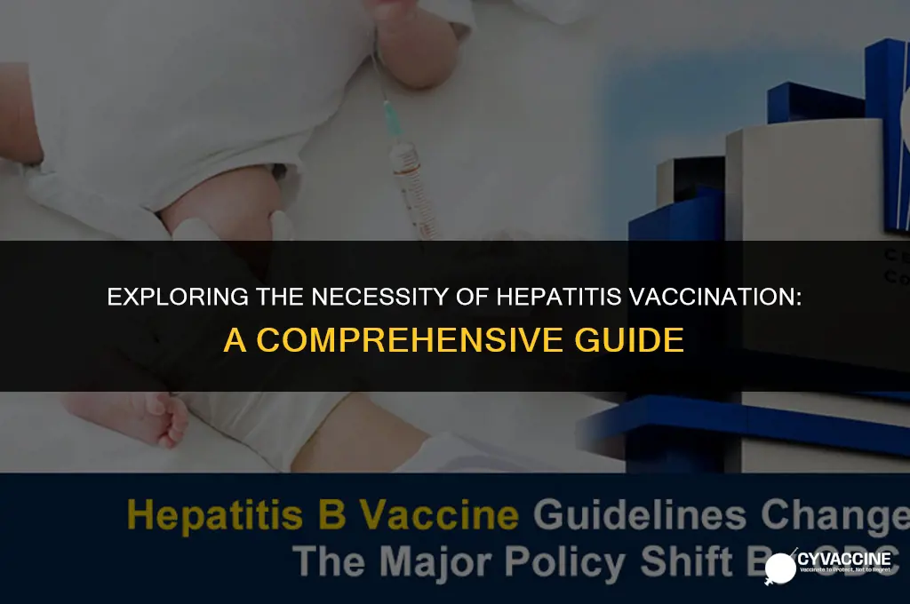 is a vaccination for hepetitus necessary