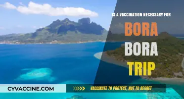 Bora Bora Travel: Is Vaccination Essential for Your Tropical Escape?