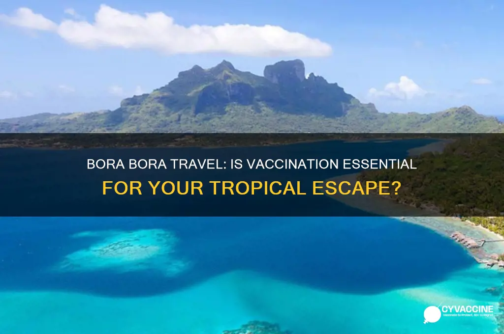 is a vaccination necessary for bora bora trip