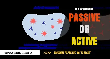 Understanding Immunity: Is Vaccination Passive or Active?