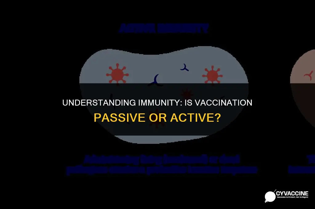 is a vaccination passive or active