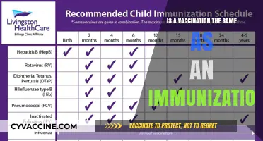 Vaccination vs. Immunization: Understanding the Key Differences and Similarities