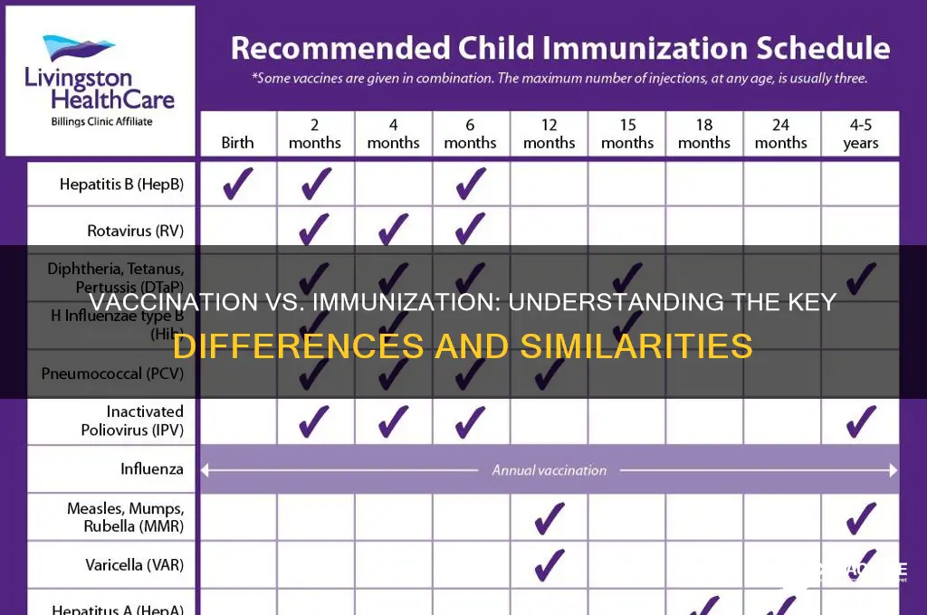 is a vaccination the same as an immunization