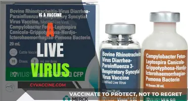 Understanding Vaccines: Live Virus or Not?