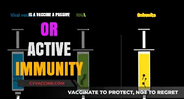 Vaccines: Active or Passive Immunity? Understanding How They Protect Us