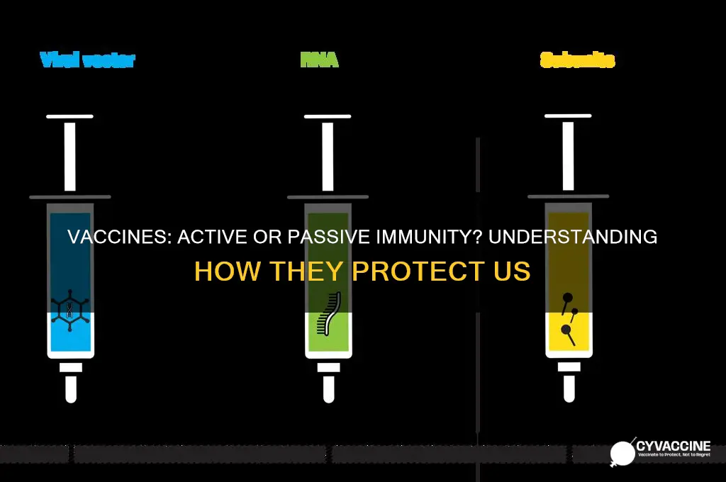 is a vaccine a passive or active immunity
