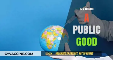 Exploring the Ethical Dimensions: Is a Vaccine a Public Good?
