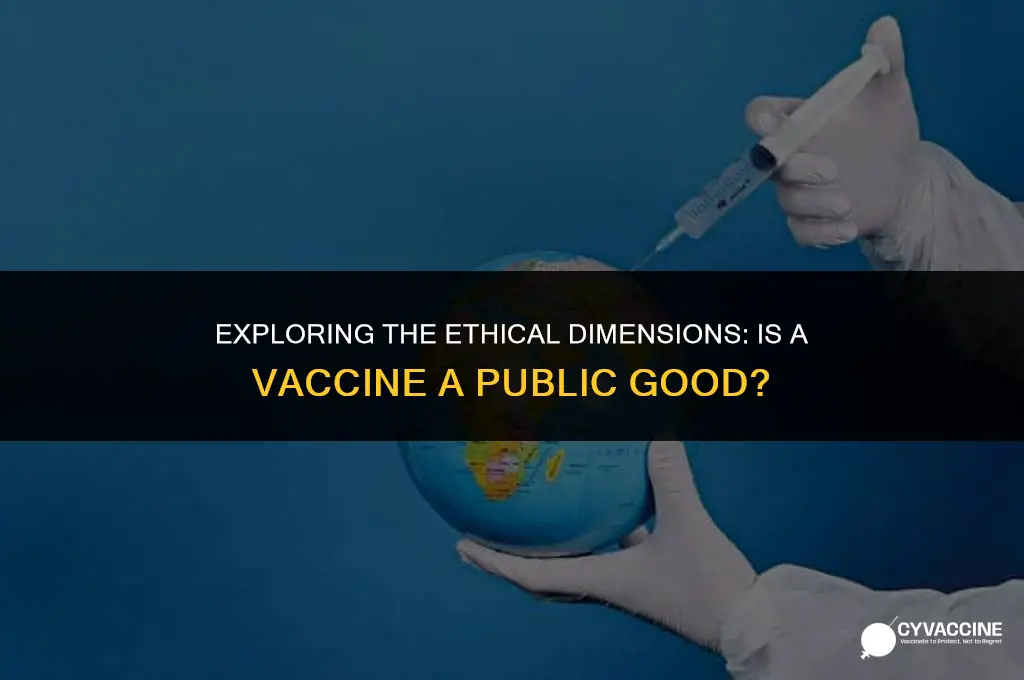 is a vaccine a public good