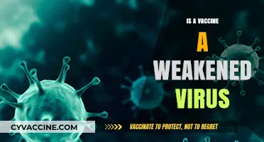 Understanding Vaccines: The Truth About Weakened Viruses