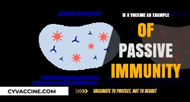 Vaccines and Passive Immunity: Understanding the Protective Mechanism