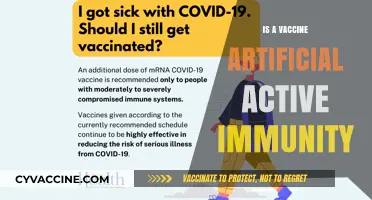 Boosting Defenses: The Science Behind Vaccine-Induced Immunity