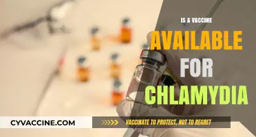 Exploring the Latest: Is a Chlamydia Vaccine Finally Here?