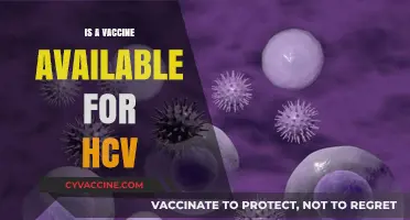 Exploring HCV Vaccine Availability: Facts and Updates