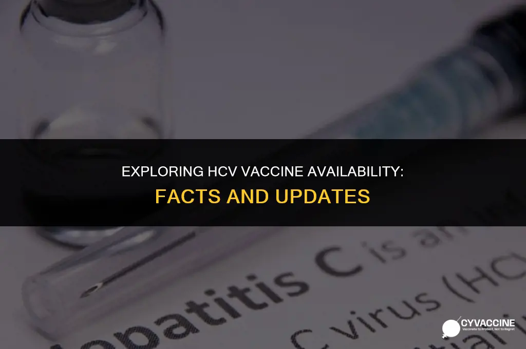 is a vaccine available for hcv