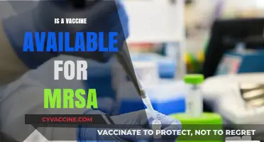 Combatting MRSA: The Quest for an Effective Vaccine