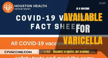 Exploring Varicella Vaccination: Facts, Myths, and Availability