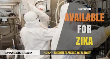 Combatting Zika: The Quest for an Effective Vaccine