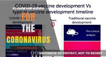 Coronavirus Vaccine Development: Progress, Challenges, and Hope for a Cure