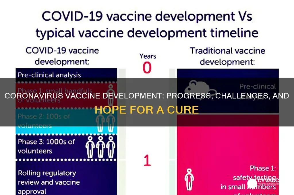 is a vaccine being developed for the coronavirus