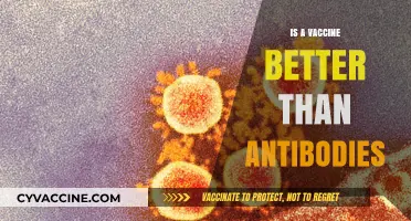 Vaccines vs. Antibodies: Which Offers Better Protection?