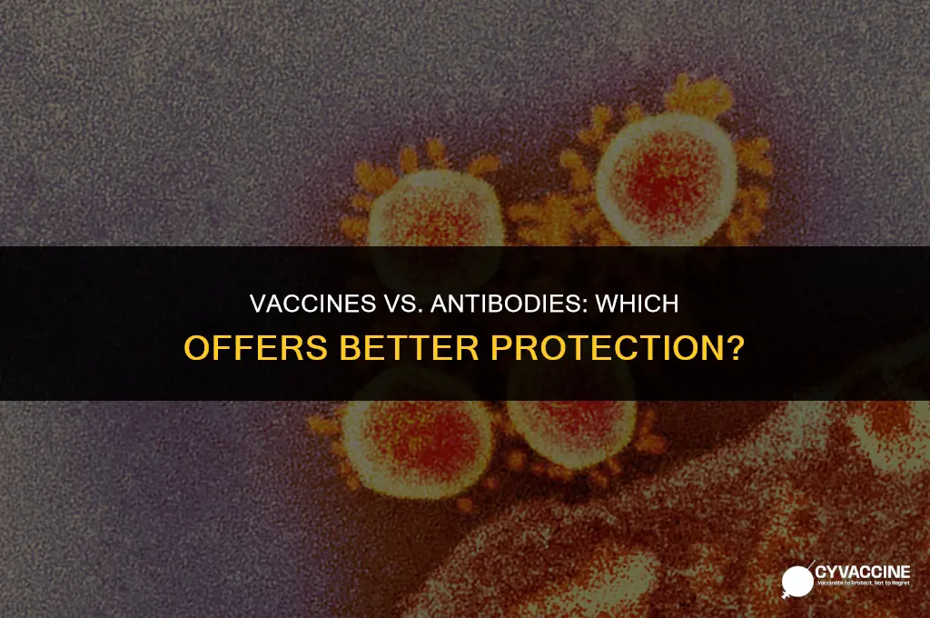 is a vaccine better than antibodies