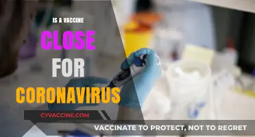 Hope on the Horizon: The Quest for a Coronavirus Vaccine