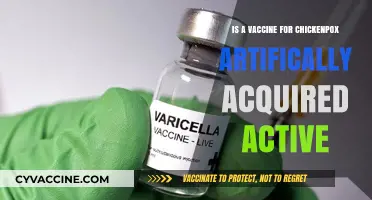 Is the Chickenpox Vaccine Artificially Acquired Active Immunity?