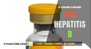 Hepatitis B Vaccine: Availability, Effectiveness, and Importance Explained
