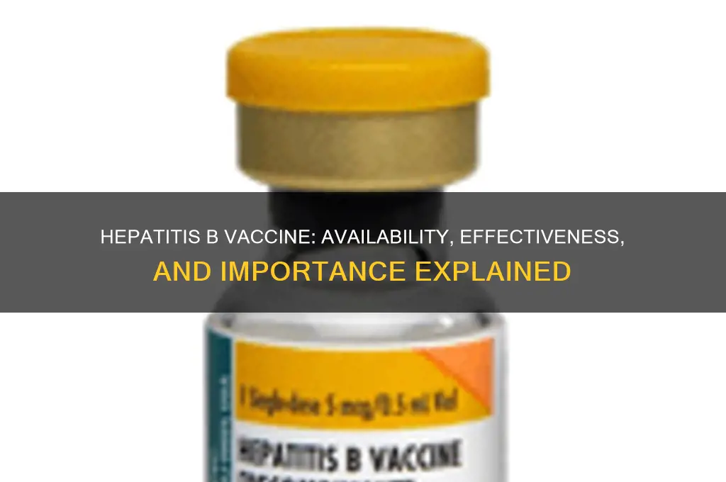 is a vaccine is available for hepatitis b