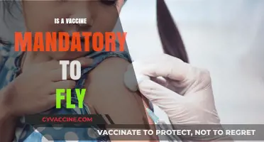 Navigating Travel Requirements: The Truth About Vaccine Mandates for Flying