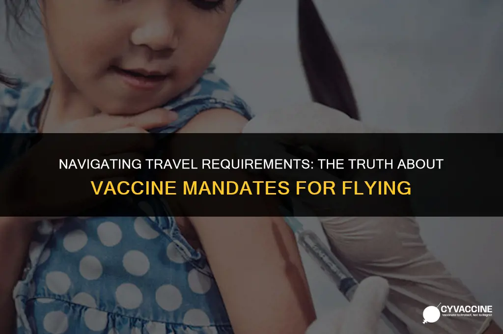is a vaccine mandatory to fly